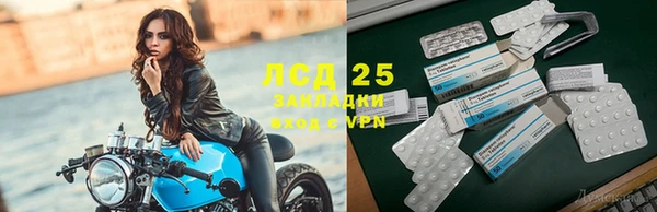 индика Новодвинск