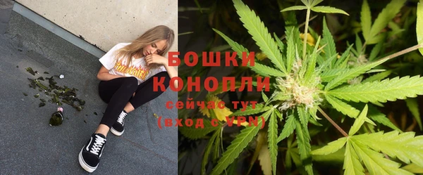 трава Новозыбков