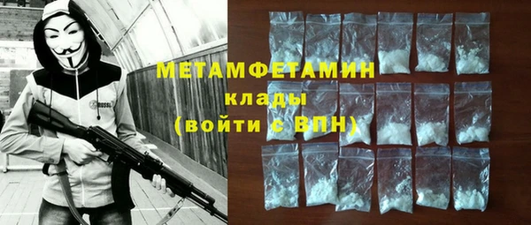 индика Новодвинск