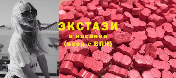 индика Новодвинск