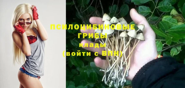 шишки Бикин