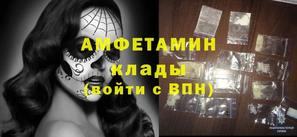 шишки Бикин