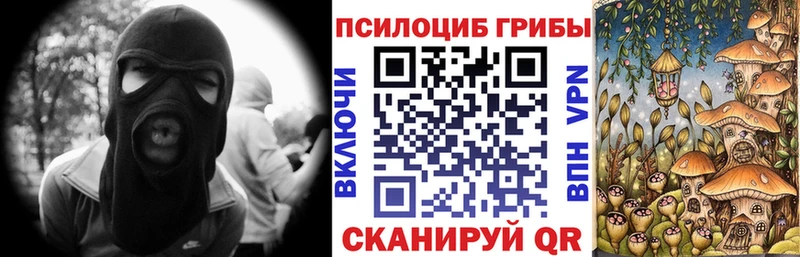 kraken ссылки  Кировск  Псилоцибиновые грибы Psilocybine cubensis 