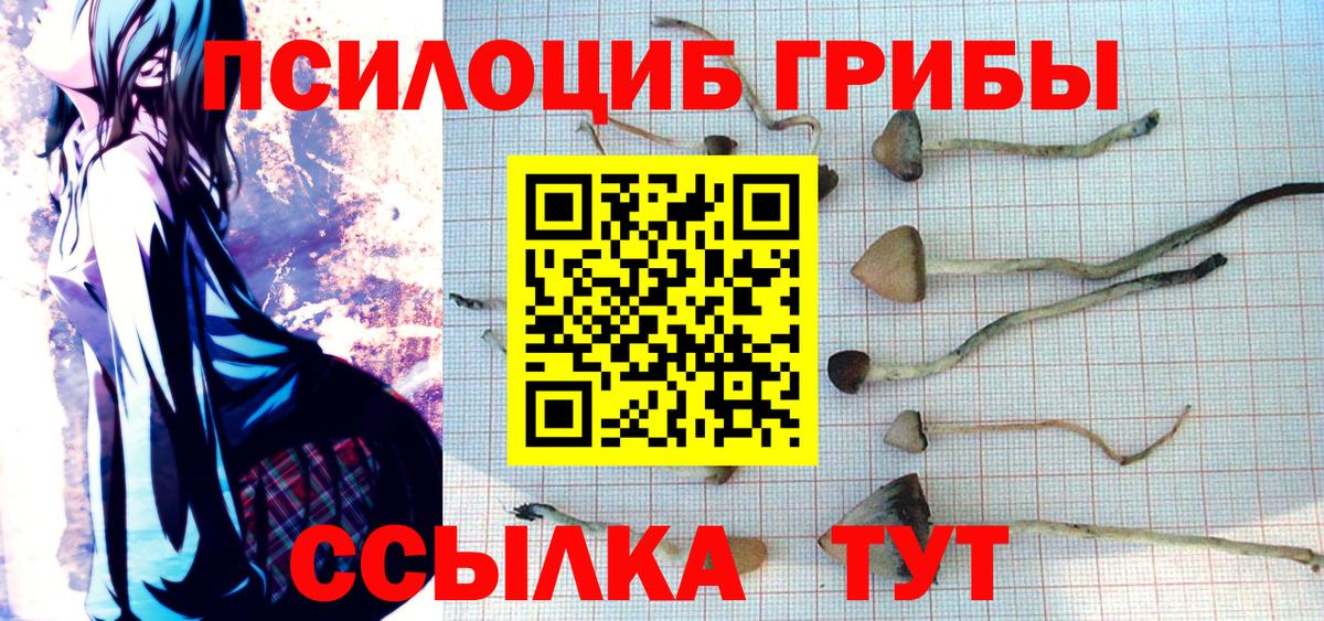 Галлюциногенные грибы мухоморы Кировск