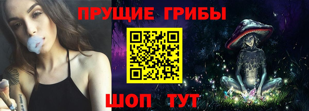 Псилоцибиновые грибы прущие грибы  Вход с VPN  Кировск 