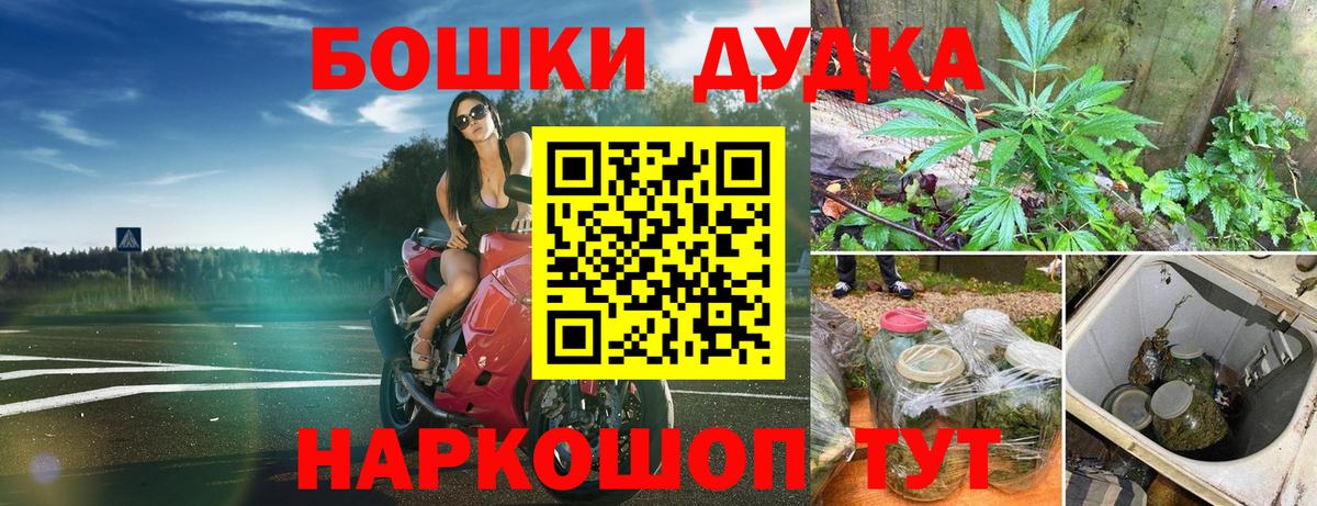 Каннабис Amnesia Кировск